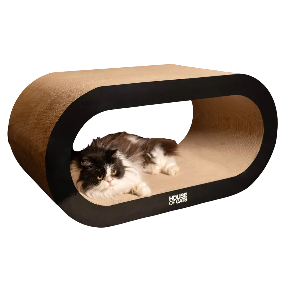 Drapak dla kota Bench Black House of Cats