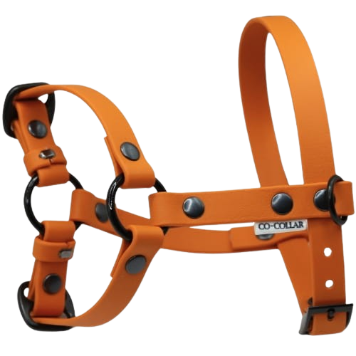 Szelki z regulacją BioThane Pumpkin Orange Co Collar
