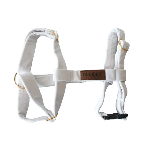 Szelki dla psa GUARD białe DOGIDIGI