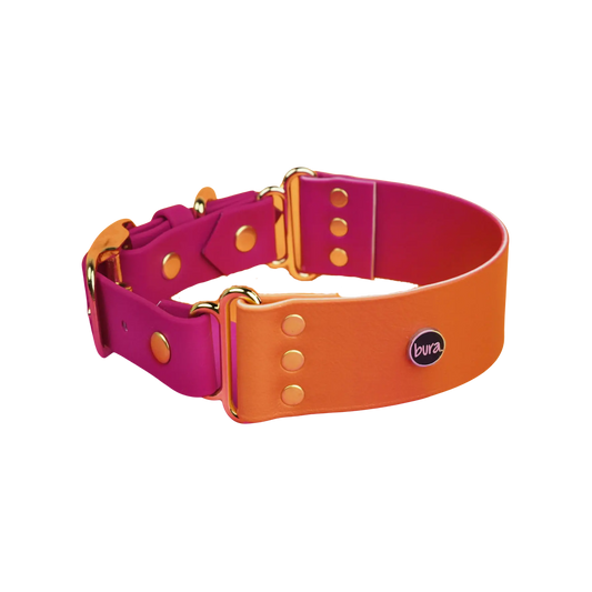 Szeroka obroża na sprzączkę, Tequila Sunrise BURA