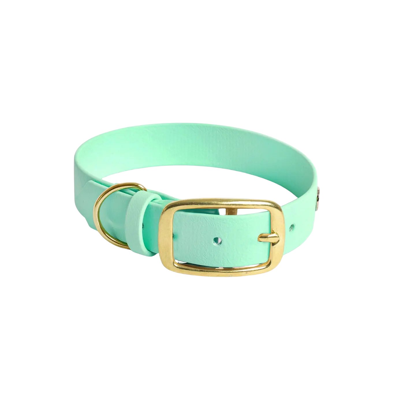 Obroża na sprzączkę dla psa, miętowy / psia miętka BURA