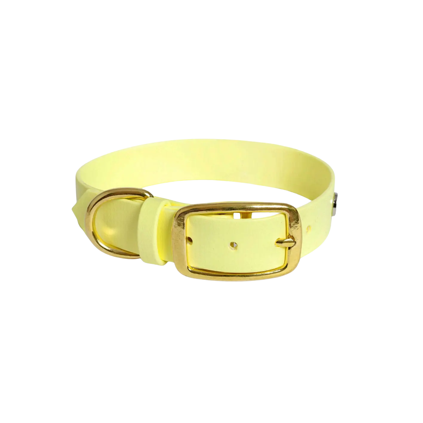Obroża na sprzączkę dla psa, pastelowy żółty / PUP'S Paradise BURA
