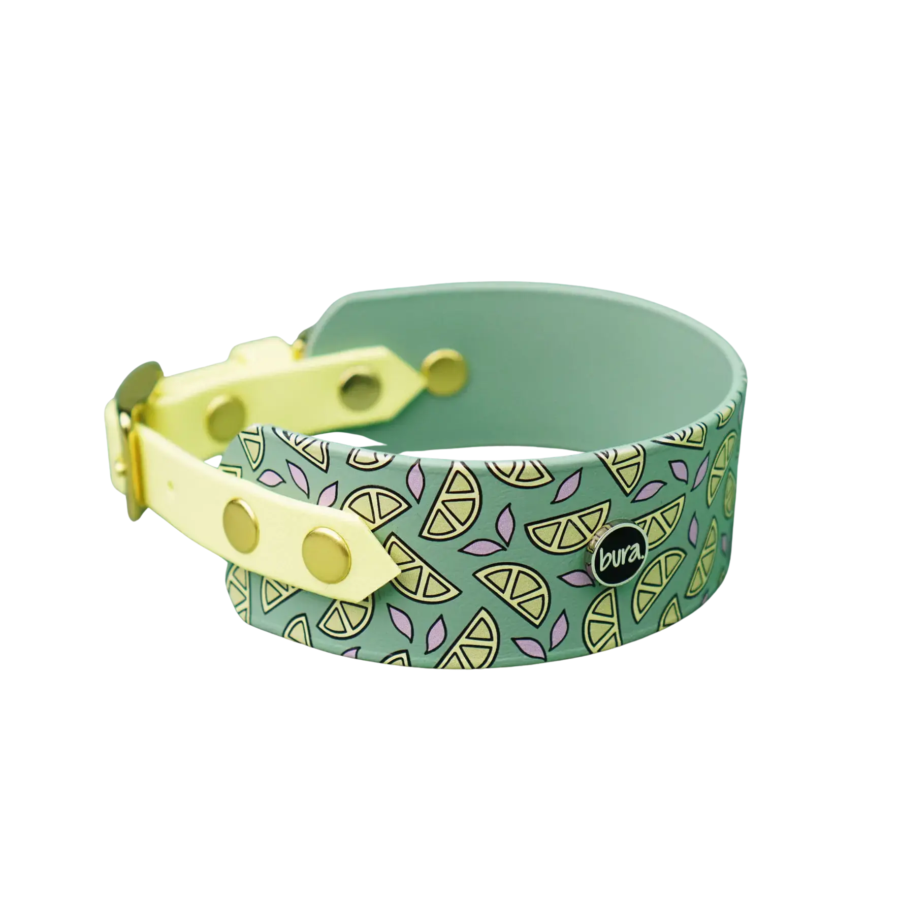 Obroża dla Charta na sprzączkę, Cytrynki / szałwiowy BURA