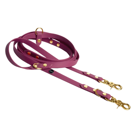 Smycz przepinana multifunkcyjna z Biothane dla psa, bordo / HAU... hot in here BURA