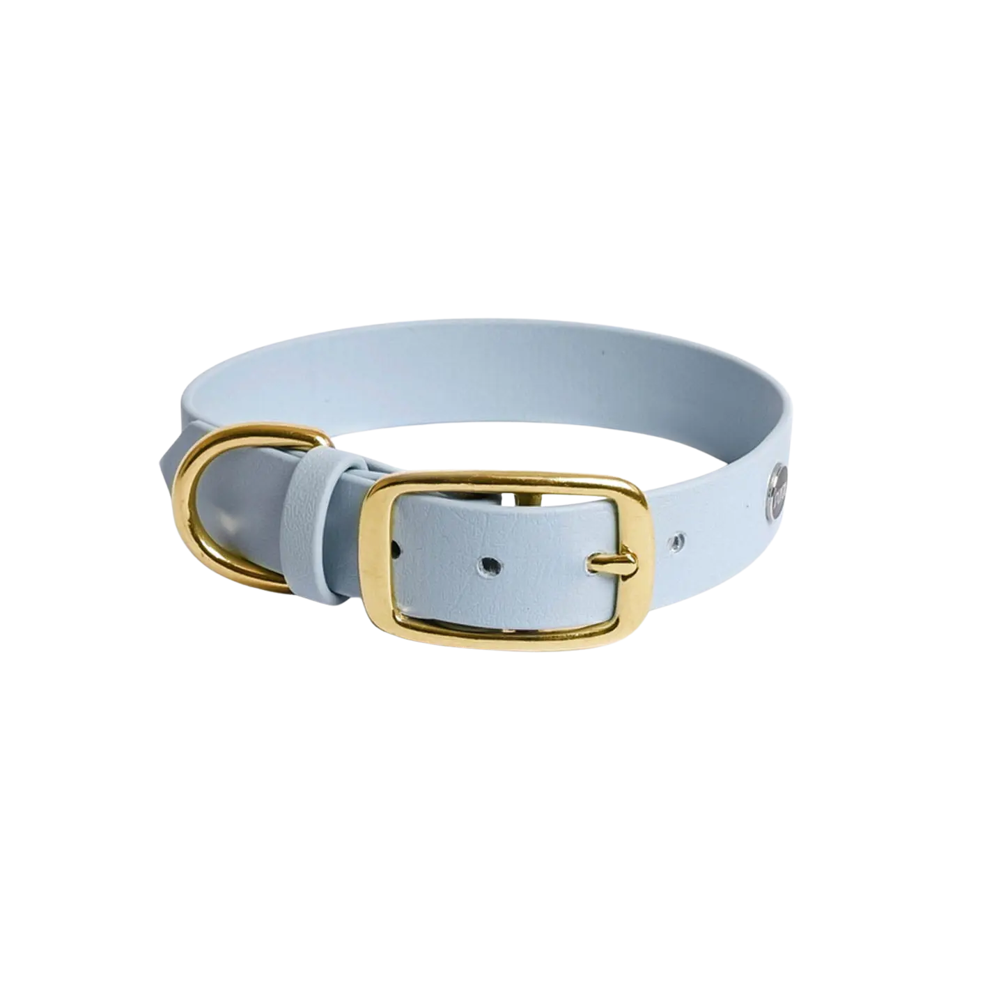 Obroża na sprzączkę dla psa, pastelowy niebieski / PUPPY blue BURA