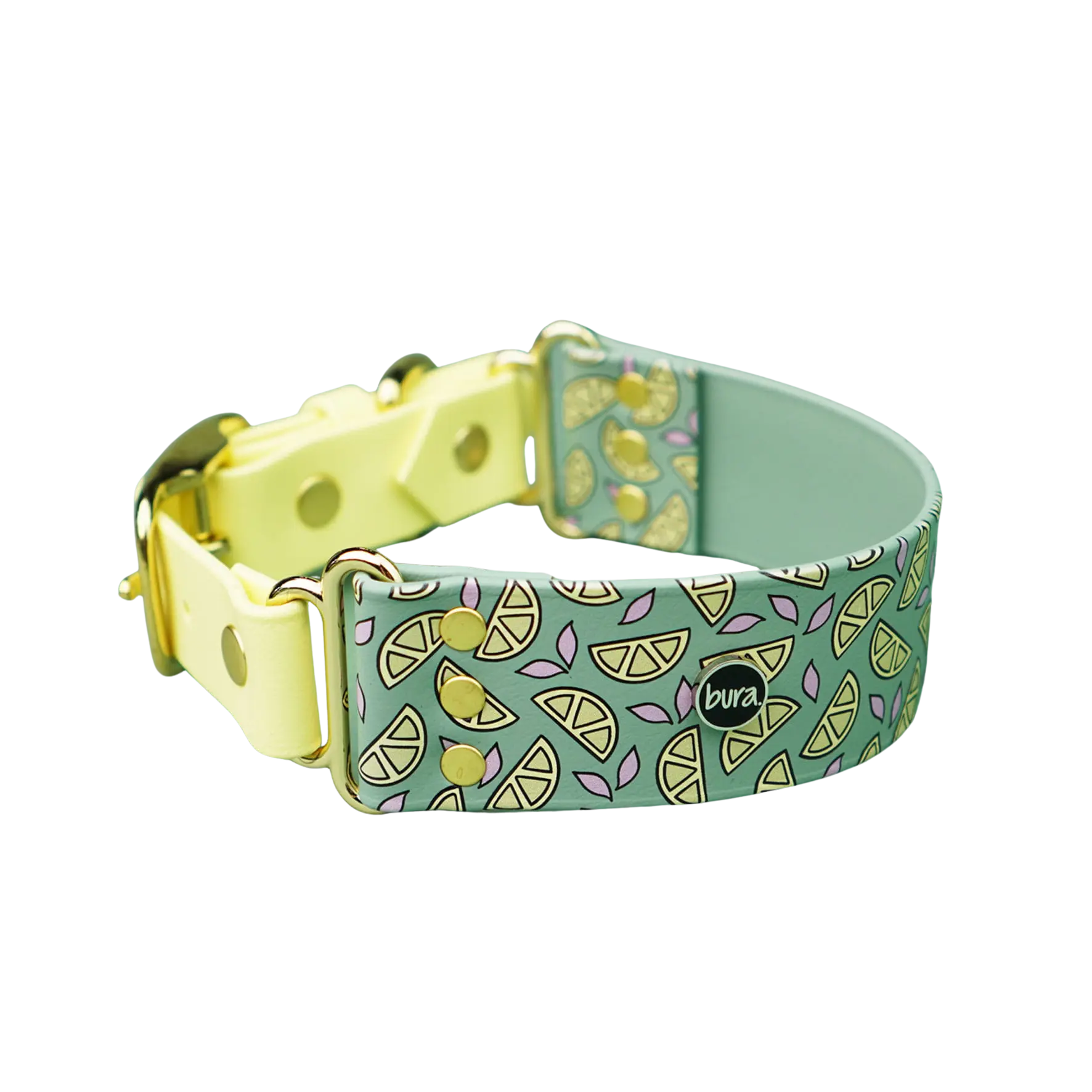 Szeroka obroża na sprzączkę, Cytrynki / szałwiowy BURA