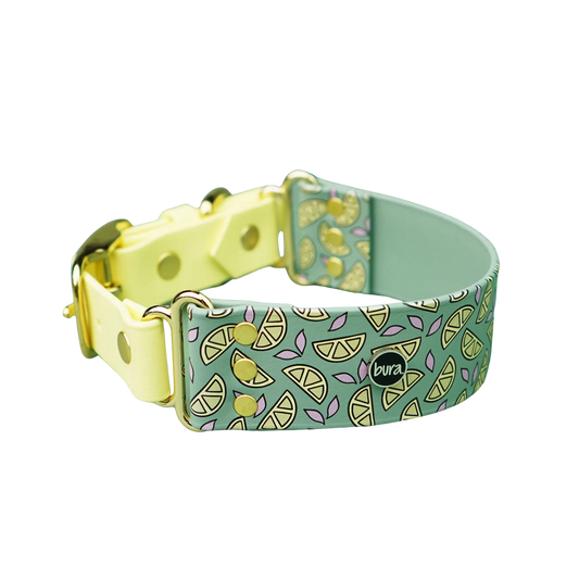 Szeroka obroża na sprzączkę, Cytrynki / szałwiowy BURA