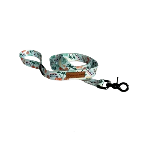 Smycz miejska Psialifornia psistań