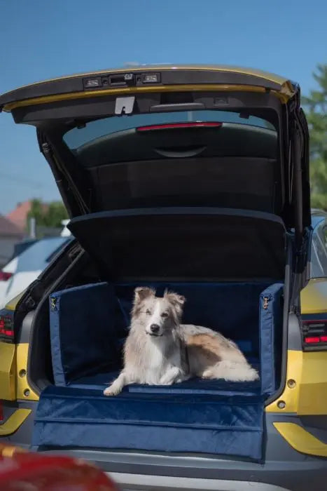 Zabudowa bagażnika do transportu psa - samochód osobowy DOGIDIGI