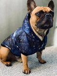 Załaduj obraz do przeglądarki galerii, Kurtka dla psa GALAXY DOGIDIGI

