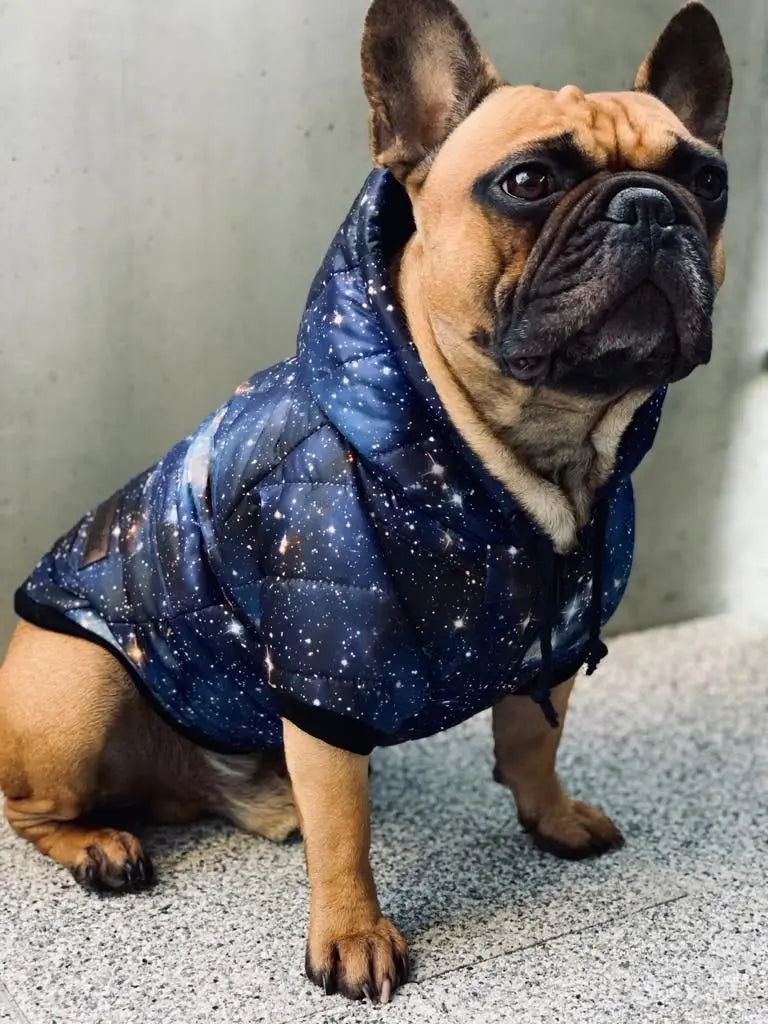 Kurtka dla psa GALAXY DOGIDIGI