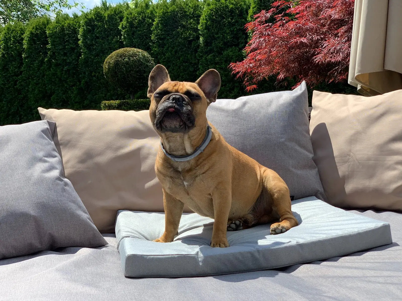 Wodoodporna mata ogrodowa dla psa DOGIDIGI