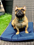 Załaduj obraz do przeglądarki galerii, Wodoodporna mata ogrodowa dla psa granatowa DOGIDIGI
