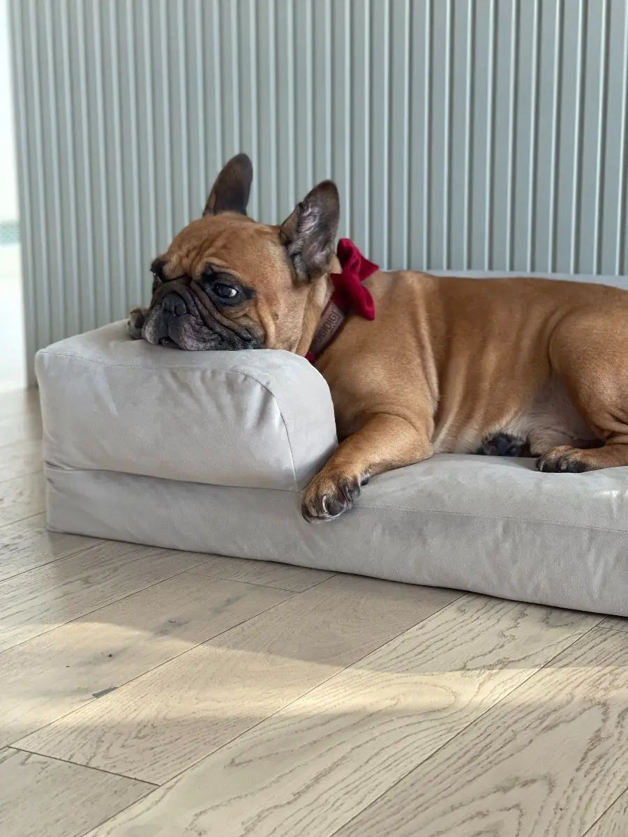 Legowisko dla psa SNUG+ DOGIDIGI