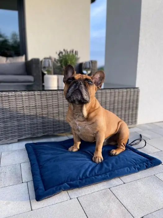 Mata dla psa TRAVEL granatowa DOGIDIGI