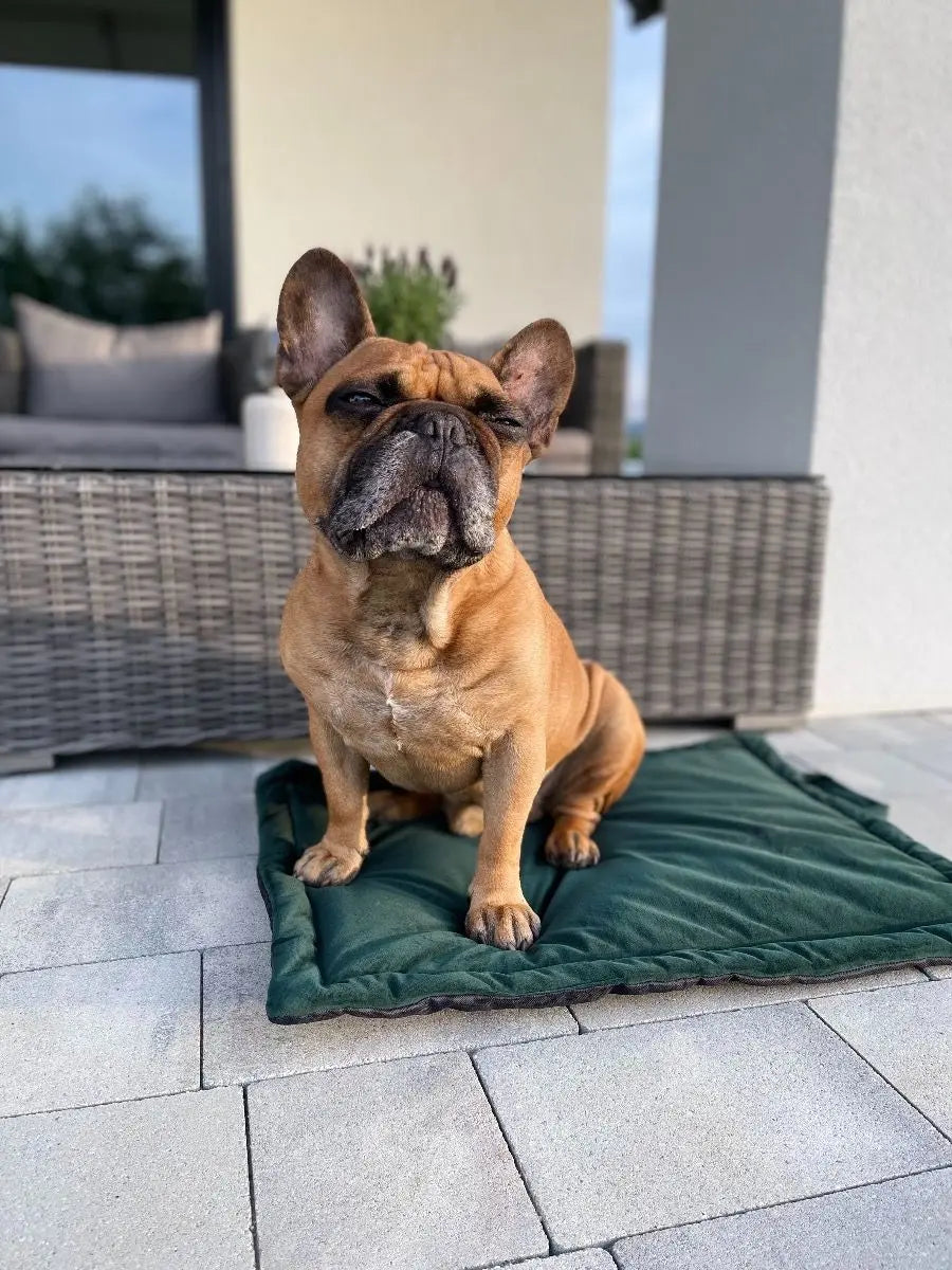 Mata dla psa TRAVEL zielona + kolor do wyboru DOGIDIGI