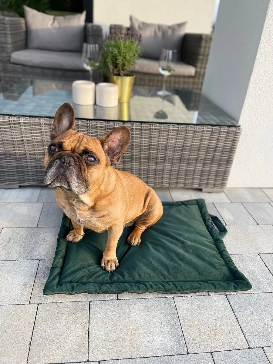 Mata dla psa TRAVEL zielona + kolor do wyboru DOGIDIGI