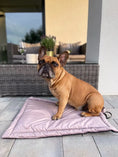 Załaduj obraz do przeglądarki galerii, Mata dla psa TRAVEL brudny róż DOGIDIGI
