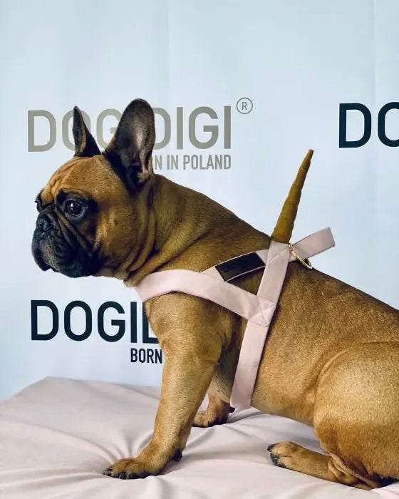 Szelki dla psa Unicorn DOGIDIGI