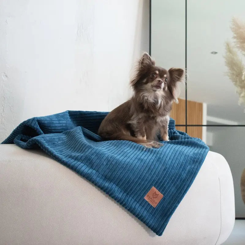 KOCYK MILANO NAVY BLUE DENZOO