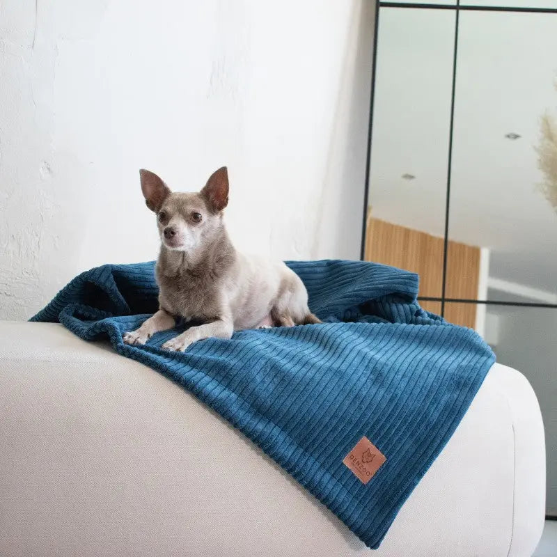 KOCYK MILANO NAVY BLUE DENZOO