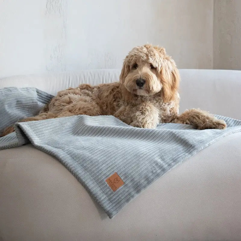 KOCYK MILANO GREY DENZOO