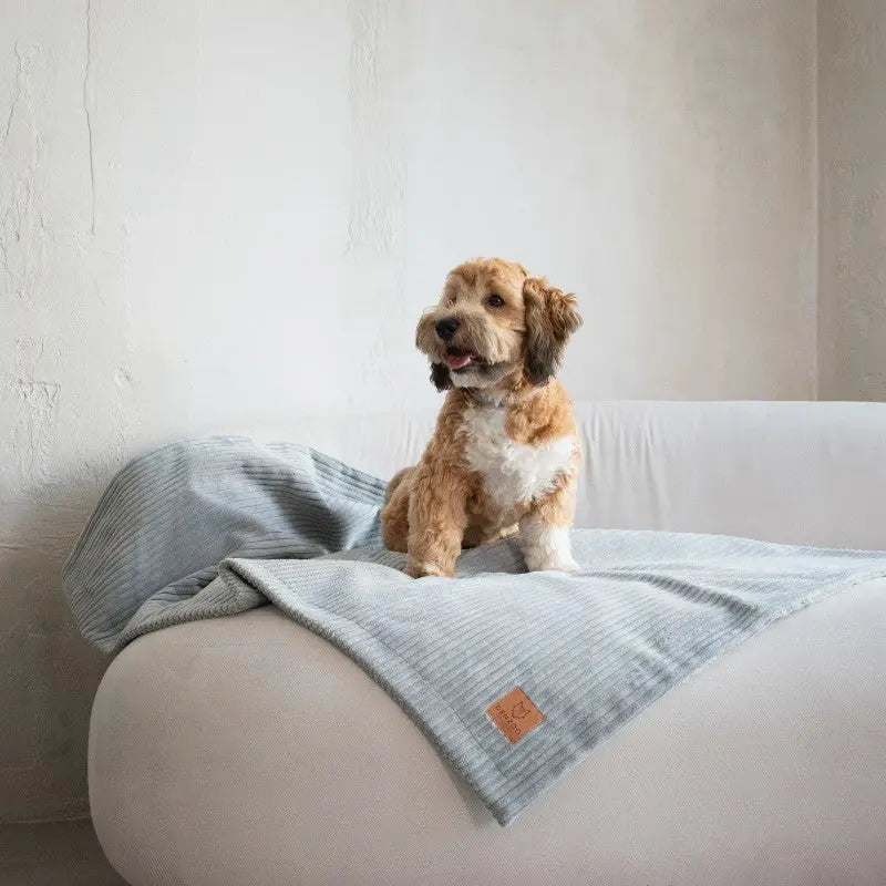 KOCYK MILANO GREY DENZOO