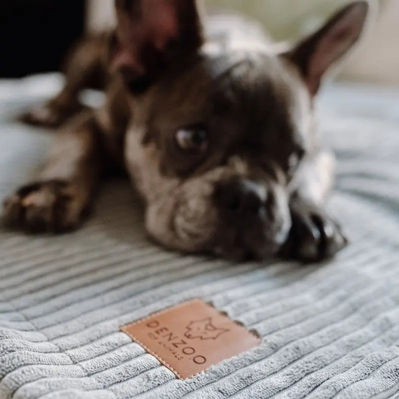 KOCYK MILANO GREY DENZOO