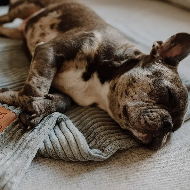 KOCYK MILANO GREY DENZOO