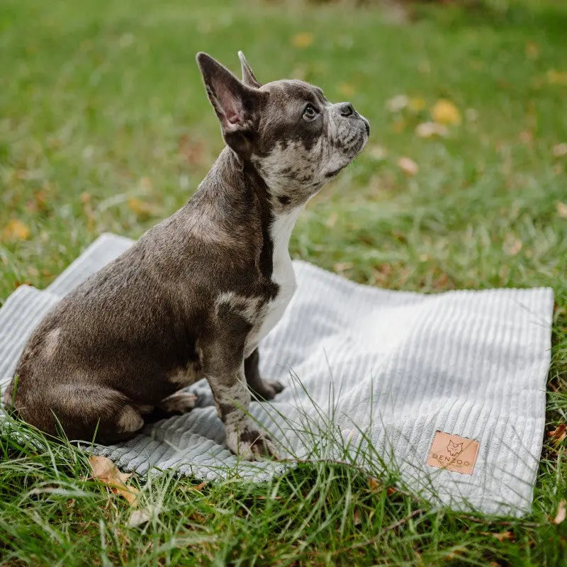 KOCYK MILANO GREY DENZOO