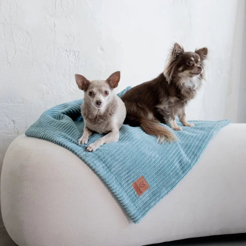 KOCYK MILANO TURQUISE DENZOO