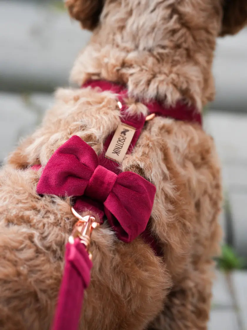 Kokarda bordo Psotnik