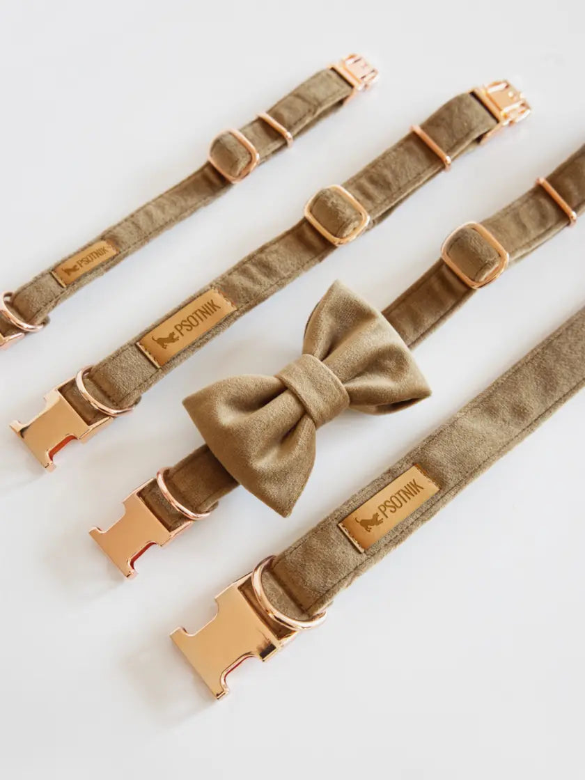 Kokarda brąz Psotnik