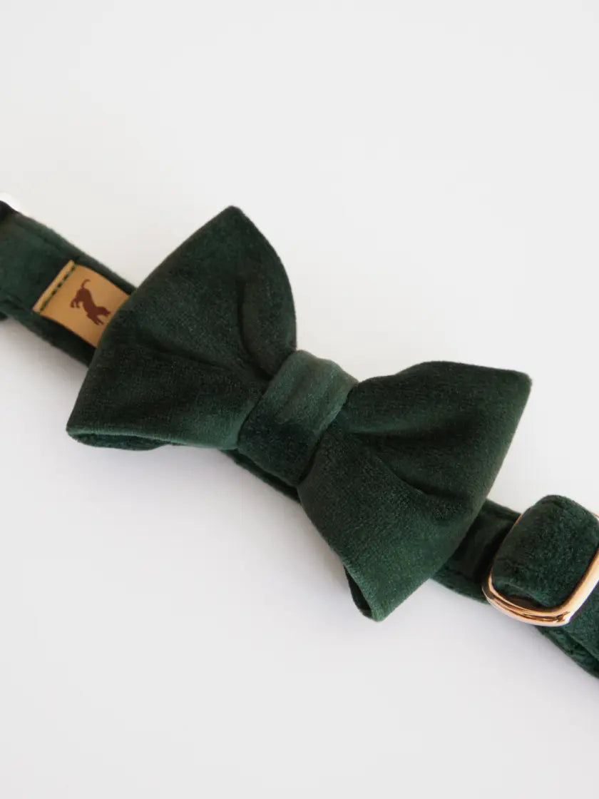 Kokarda butelkowa zieleń Psotnik