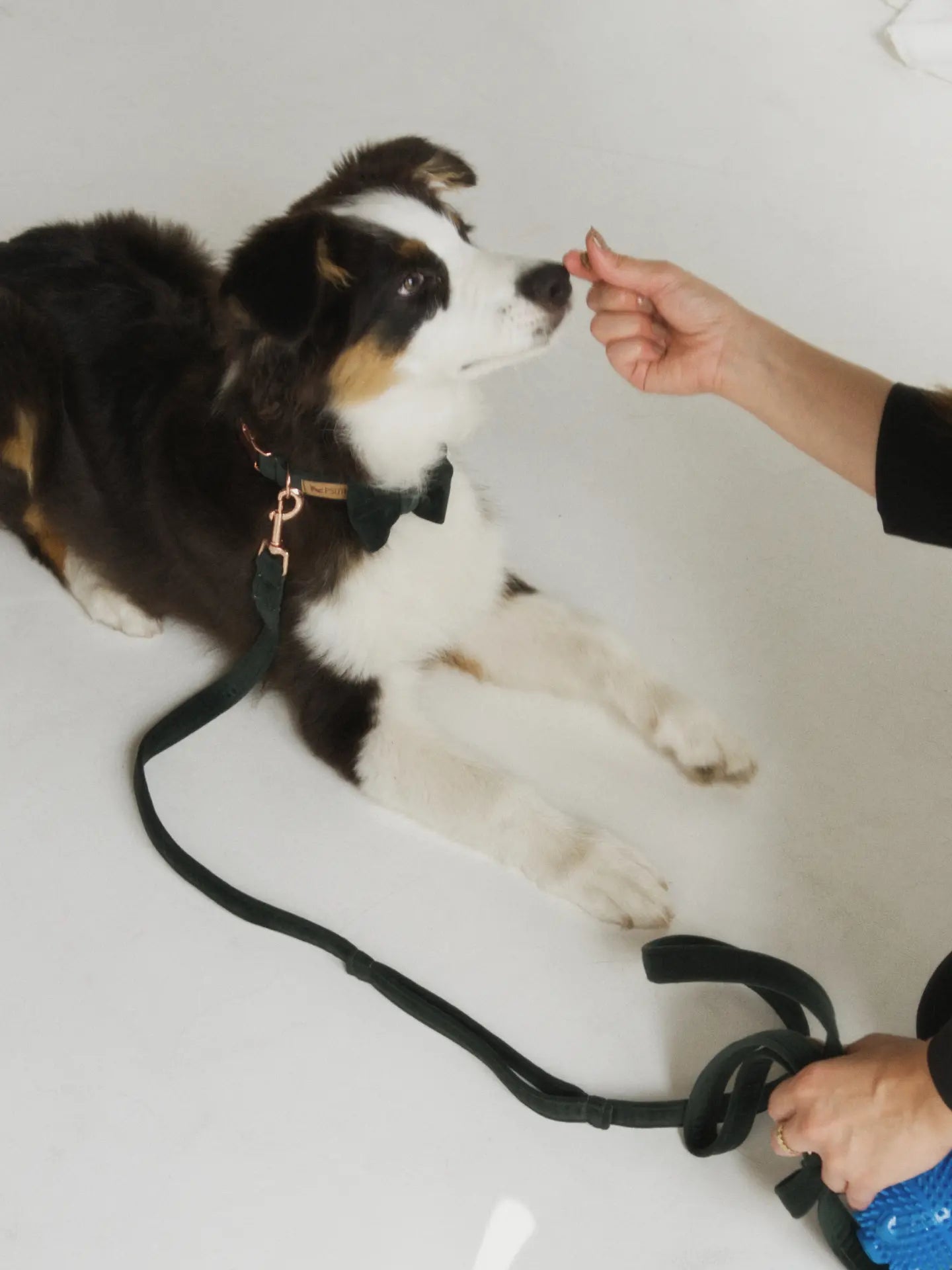 Kokarda butelkowa zieleń Psotnik