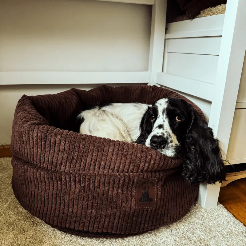 Legowisko w formie kokonu Mori psykryj mnie