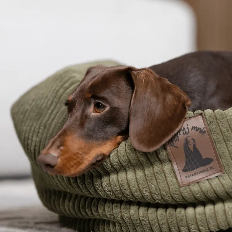 Legowisko w formie kokonu Mori psykryj mnie