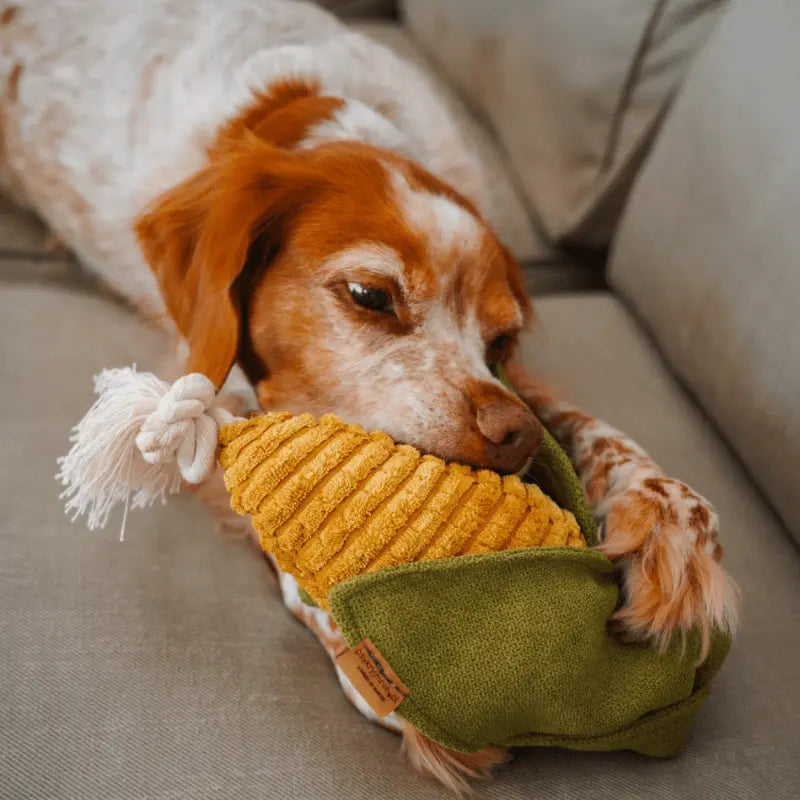 Zabawka węchowa – szarpak Kukurydza PAW DESIGN