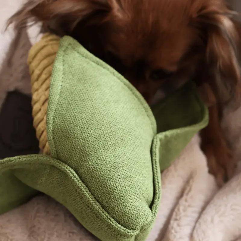 Zabawka węchowa – szarpak Kukurydza PAW DESIGN