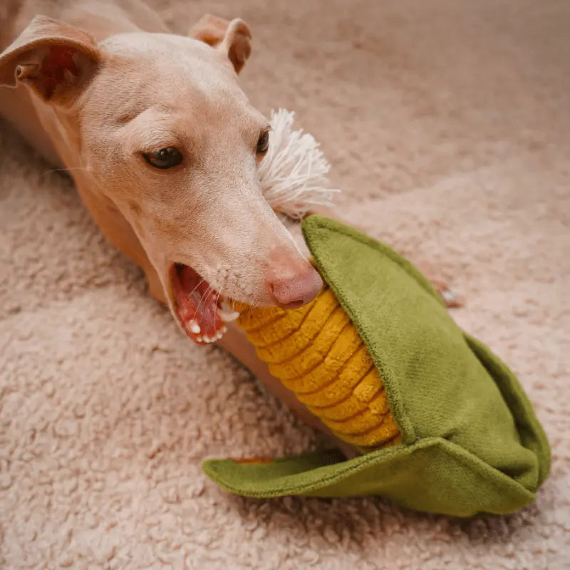 Zabawka węchowa – szarpak Kukurydza PAW DESIGN