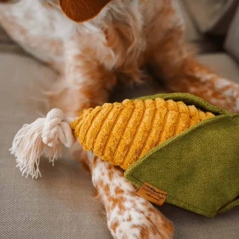 Zabawka węchowa – szarpak Kukurydza PAW DESIGN