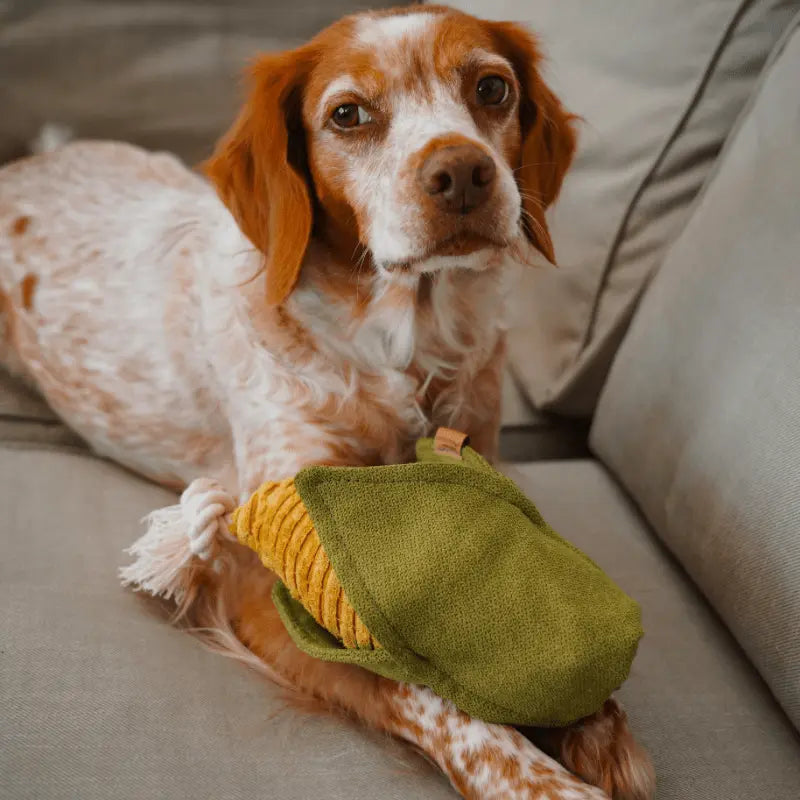 Zabawka węchowa – szarpak Kukurydza PAW DESIGN