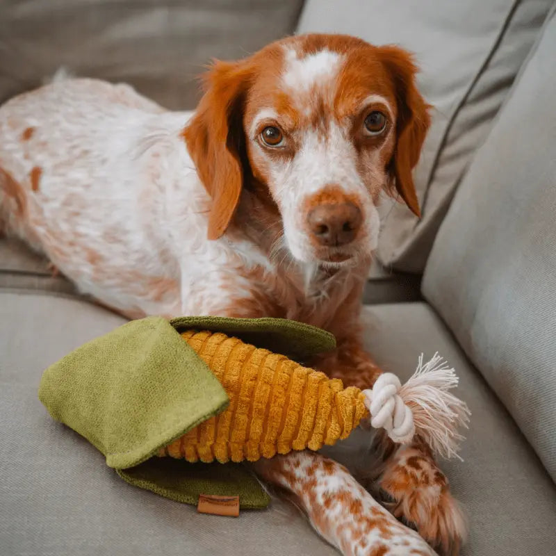 Zabawka węchowa – szarpak Kukurydza PAW DESIGN