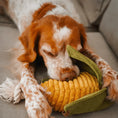 Załaduj obraz do przeglądarki galerii, Zabawka węchowa – szarpak Kukurydza PAW DESIGN
