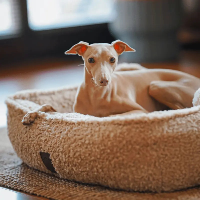 Legowisko Milek psykryj mnie