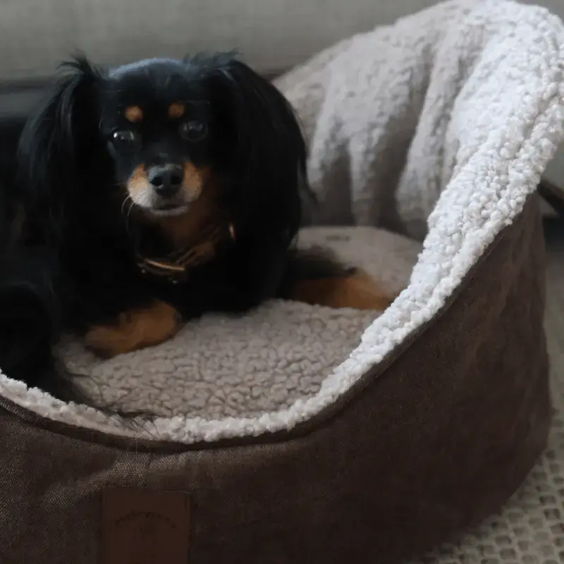 Legowisko Felka psykryj mnie