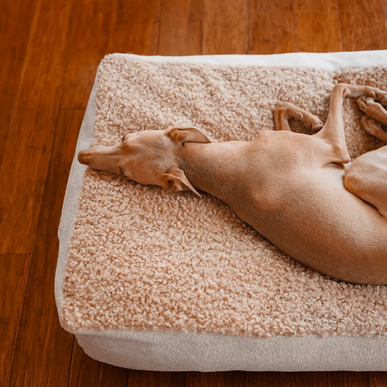 Legowisko Lika boucle PAW DESIGN