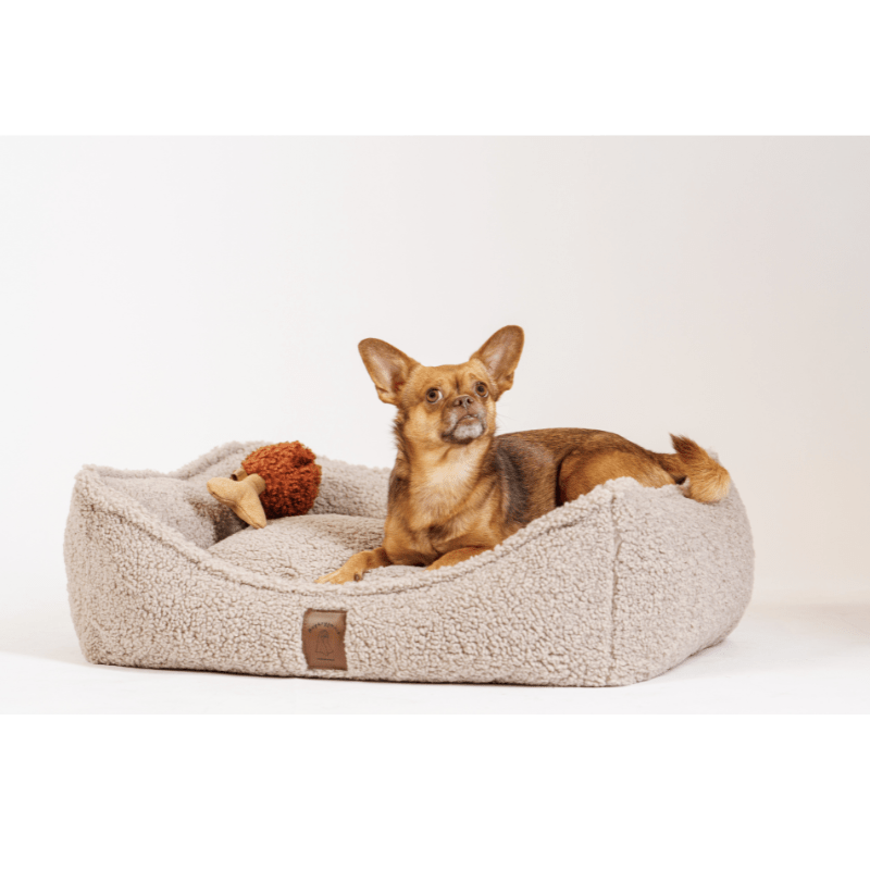 Legowisko Benia psykryj mnie