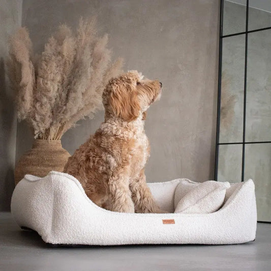 Legowisko premium dla psa i kota ortopedyczne beżowe - BELLUNO BEIGE DENZOO