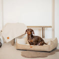 Załaduj obraz do przeglądarki galerii, Legowisko dla psa i kota z materacem ortopedycznym beżowe - ANCONA BEIGE DENZOO
